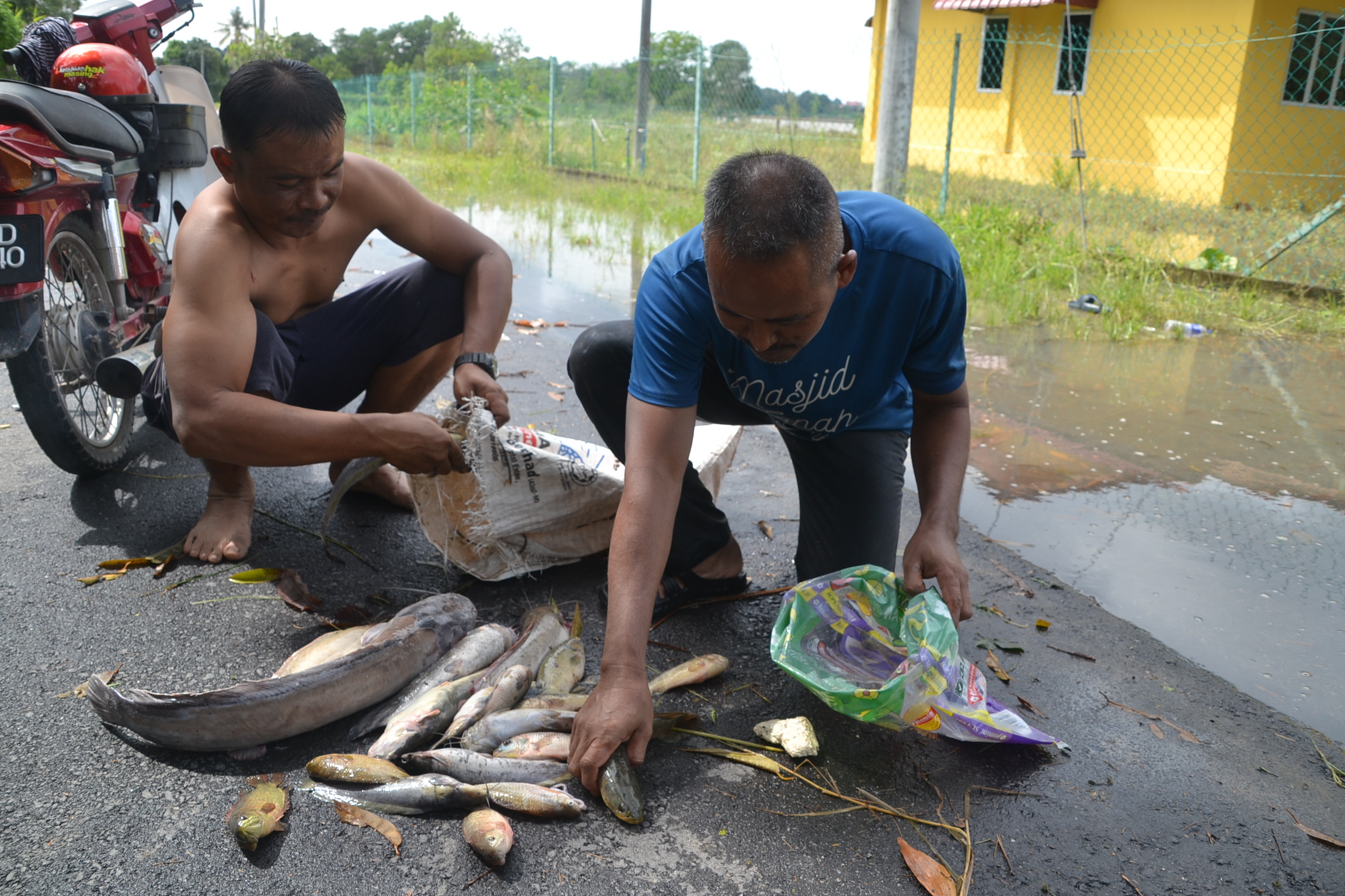 Banjir beri rezeki tambahan