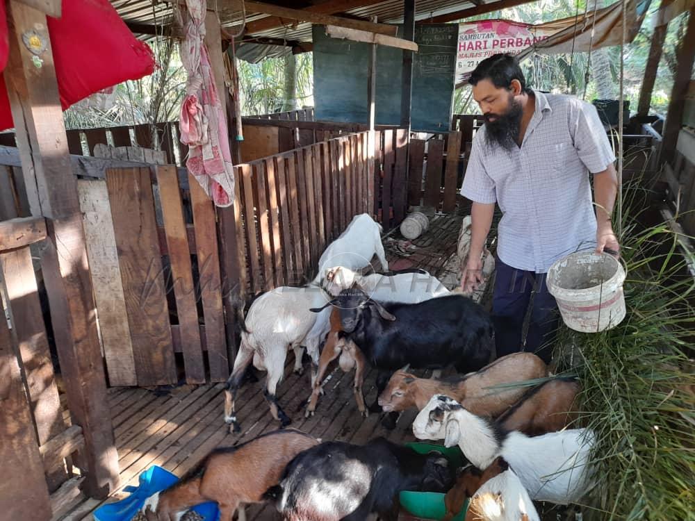 Banjir: Petani dan penternak rugi RM2.8 juta