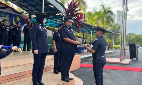 Polis Melaka tahan 746 individu edar dadah tahun ini