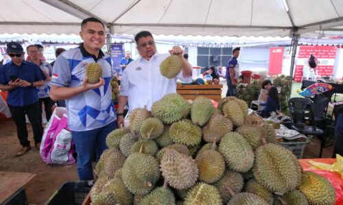 Melaka AgroFest dimasukkan dalam kalender TMM2024