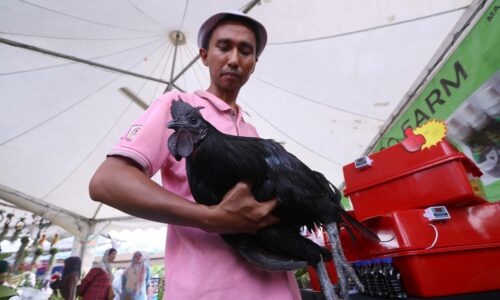 ‘Lamborghini’ hitam RM2,000