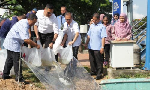 150,000 benih ikan dilepaskan ke Empangan Sungai Batu Hampar