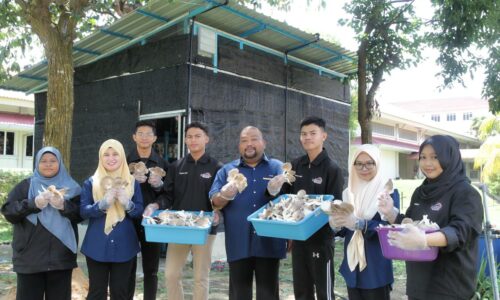 Rumah cendawan ‘jana’ duit poket pelajar