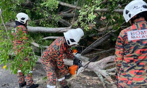 Lelaki cedera dalam insiden pokok sena tumbang di Bukit Senjuang