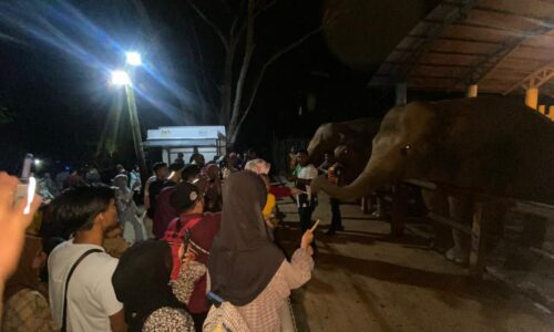 Lebih 4,000 pelawat serbu Zoo Melaka