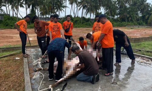 Semakin ramai anak muda sertai ibadah korban