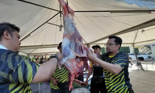 Korban Perdana Mualaf MAIM tumbang 8 lembu, 4 kambing