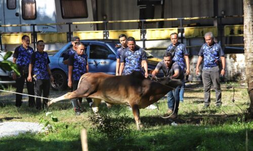 ‘Ibadah korban DUN Tanjung Bidara kali ini lebih istimewa’