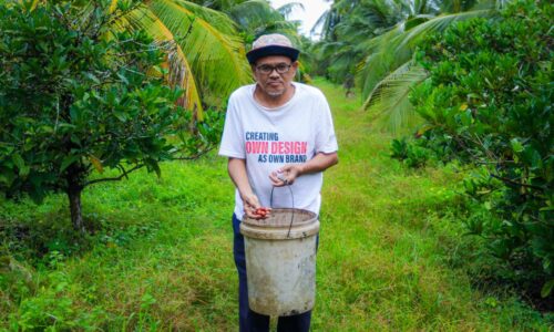 Kopi ‘Liberica’ subur di bumi Merlimau