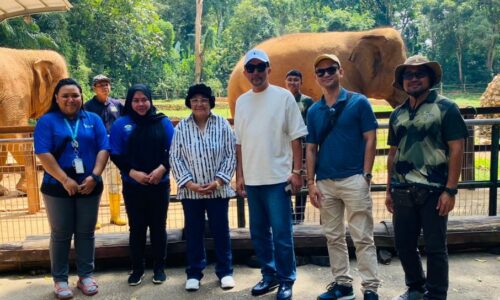 Konservasi orang utan di Zoo Melaka
