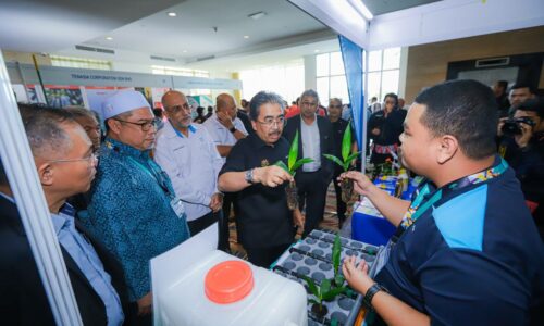 Penanaman semula ladang sawit terbiar perlu diperluaskan