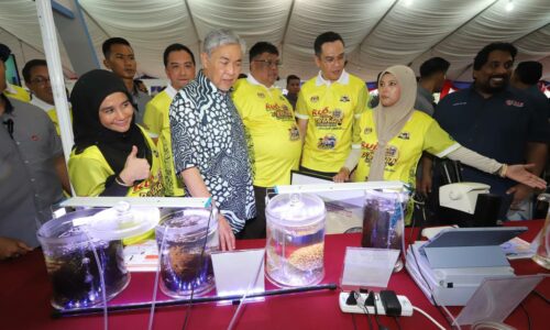 Lebih 10,000 meriahkan Mini KUD @ Festival D’Bendang Melaka 2024