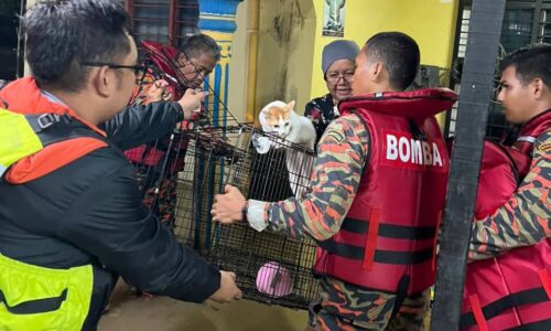 Sukarelawan berdepan cabaran, terpaksa pujuk mangsa banjir berpindah