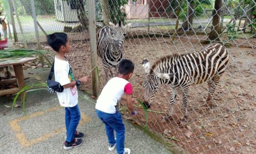 TAWARAN MASUK PERCUMA HADIAH BERMAKNA BUAT RAKYAT MELAKA