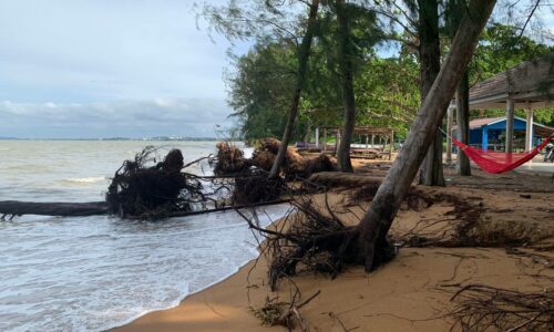 TANGANI SEGERA HAKISAN PANTAI PENGKALAN BALAK – KM