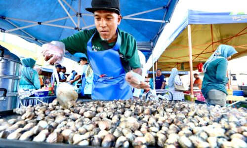 TIADA LAGI KERAGUAN MAKAN KUPANG, KERANG