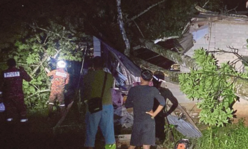 POKOK KEKABU TUMBANG HEMPAP RUMAH, LELAKI CEDERA PARAH