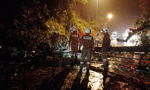 PENUNGGANG MOTOSIKAL MAUT DIHEMPAP POKOK TUMBANG