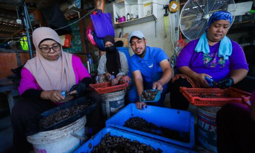 USAHAWAN SIPUT SEDUT DARI KAMPUNG PANCHOR