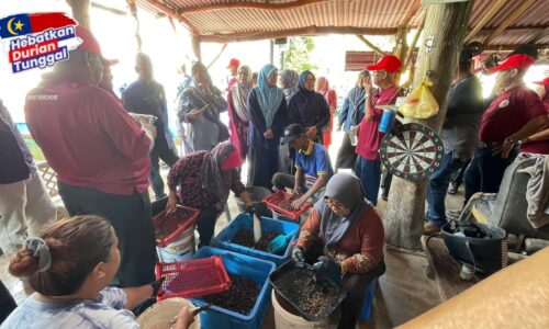 DURIAN TUNGGAL KAMPUNG TERPILIH PROGRAM MENTOR MENTEE