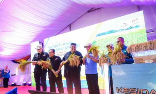 PENUBUHAN IADA SELATAN BAKAL BERI MANFAAT KEPADA PESAWAH NEGERI SEMBILAN, MELAKA DAN JOHOR