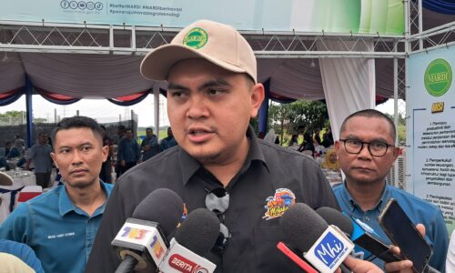 MELAKA BAKAL TUBUH KONSORTIUM, USAHAKAN TANAH SAWAH TERBIAR