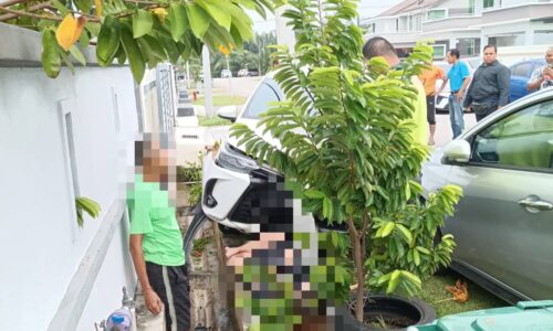 WANITA SEDANG BERKEBUN PARAH DIREMPUH KERETA ELAK KUCING