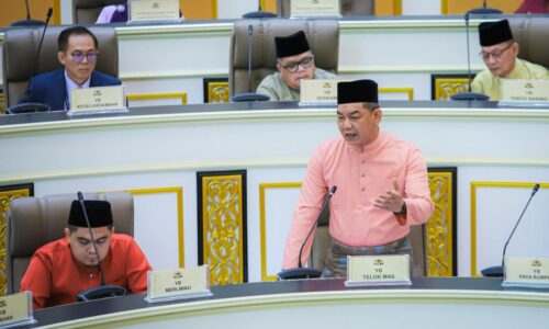 500 BELIA DILANTIK SUKARELAWAN TMM2024