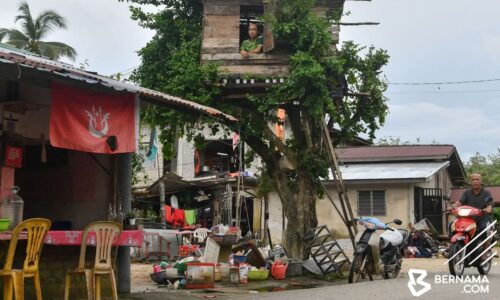  BANJIR: LELAKI BINA PONDOK ATAS POKOK SEBAGAI TEMPAT PERLINDUNGAN SEMENTARA