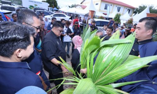 3,000 ANAK POKOK KELAPA PERCUMA UNTUK ORANG MASJID TANAH