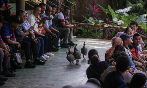 PERTANDINGAN ‘JOM LAWAT DAN MENANG’ ZOO MELAKA DILANJUTKAN