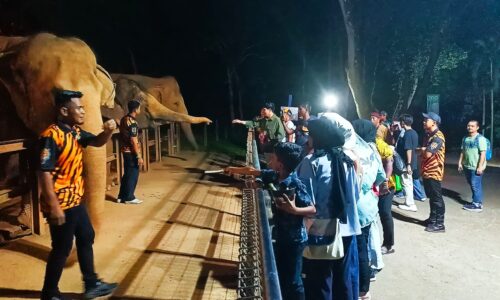 ZOO MELAKA BUKA TIRAI 2025 DENGAN SAMBUTAN HEBAT