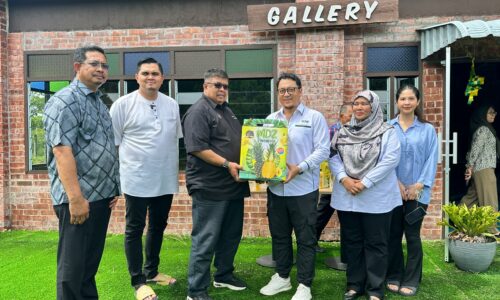 LADANG NANAS PREMIUM KUALA LINGGI