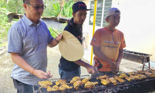 AYAM PERCIK HUTAN PERCHA ‘UBATI KERINDUAN’