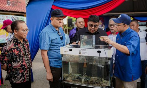 3 JUTA BENIH UDANG GALAH DILEPASKAN DI PERAIRAN MELAKA