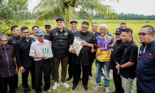 BERAS MELAKA BAKAL DIPASARKAN, HANYA RM26 SEKAMPIT